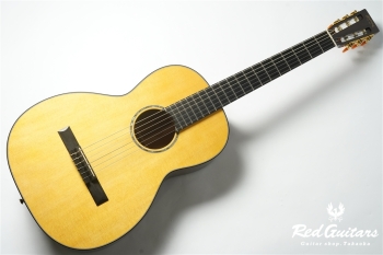 00-Nylon w/FISHMAN Matrix VT Enhance